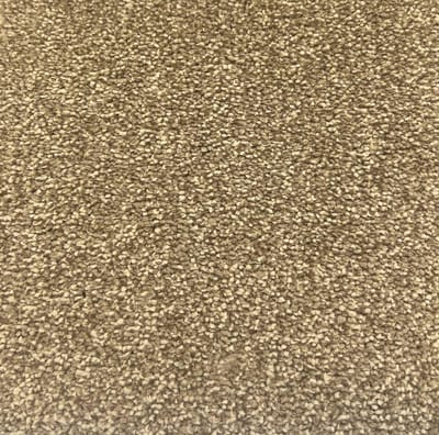 Almond swatch