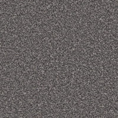 Battleship Grey swatch