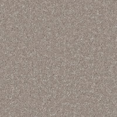 Mushroom swatch