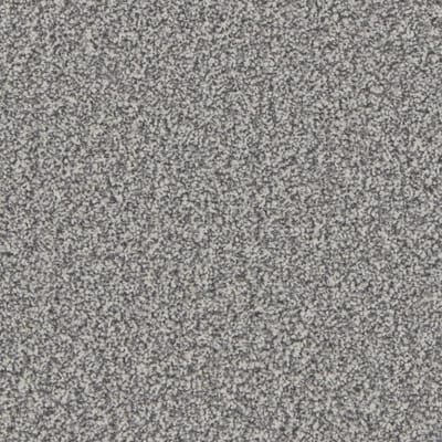 Silver Birch swatch
