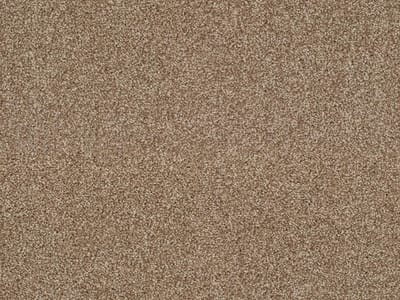 Walnut 281 swatch