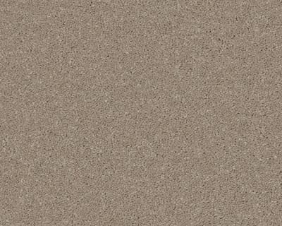 Cappuccino swatch
