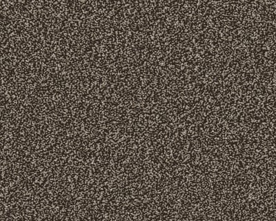 Clove swatch