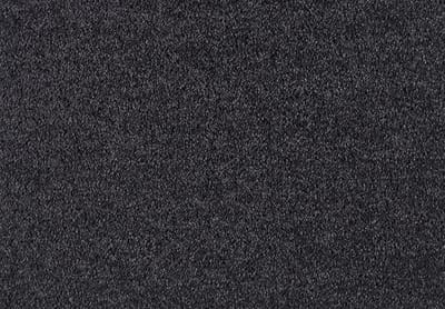 081 Pourpre swatch