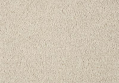 221 Acorn swatch