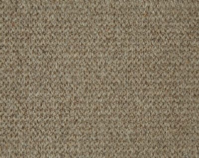Koala swatch