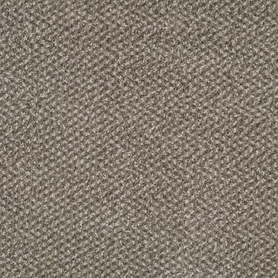 Fresh Fern swatch