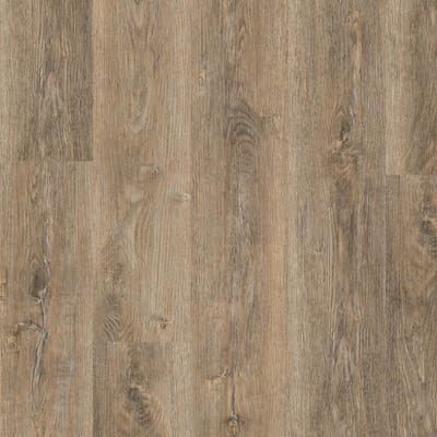Coastal Timber swatch