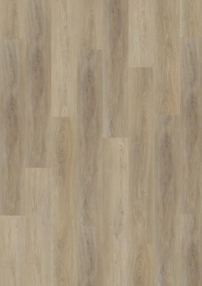 Oak swatch