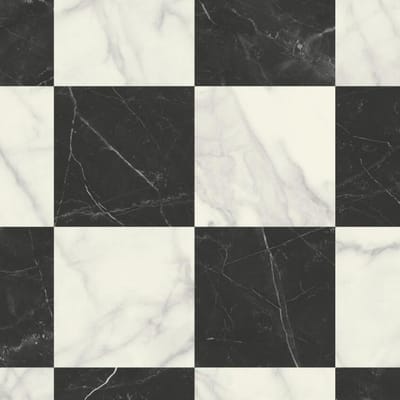Black White swatch