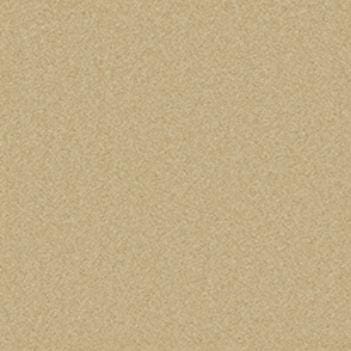 Camel swatch