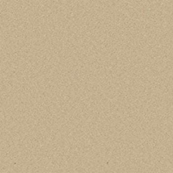Caraway swatch