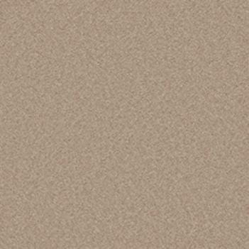 Toasted Almond swatch