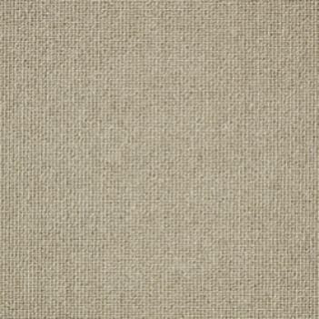 Fawn swatch