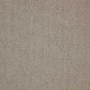 Wild Rice swatch