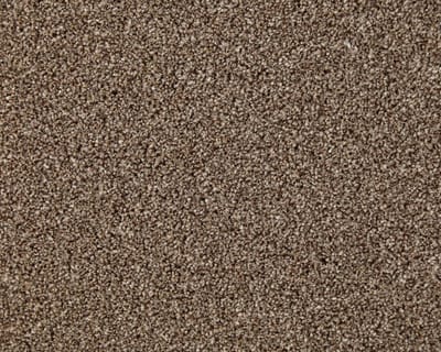 Chestnut swatch