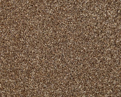 Pecan Overhead swatch