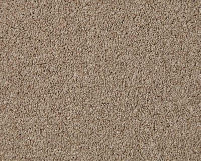 Walnut  swatch
