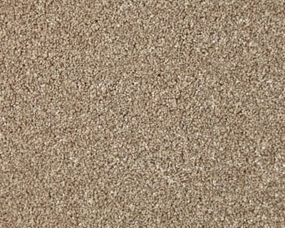 Wild Honey swatch