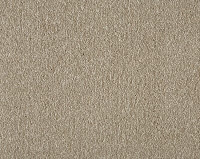 Putty (Disc) swatch