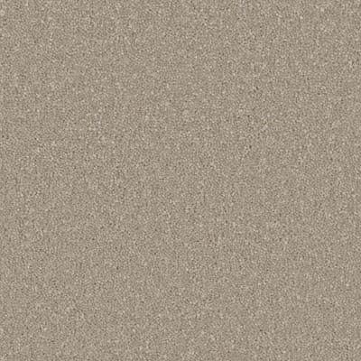 Arctic Grey swatch