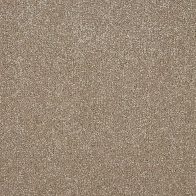 Cambrian Stone swatch
