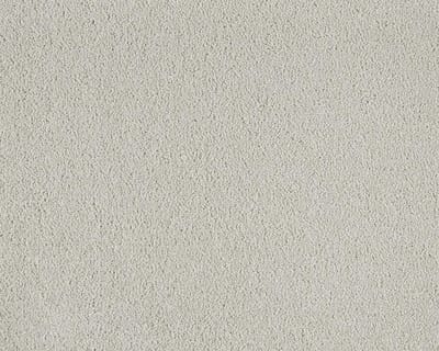 Biscuit 242 swatch