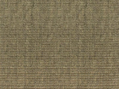 8007 (DISCON) swatch