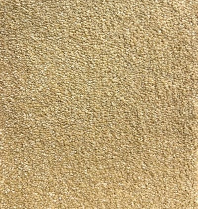 Barley swatch
