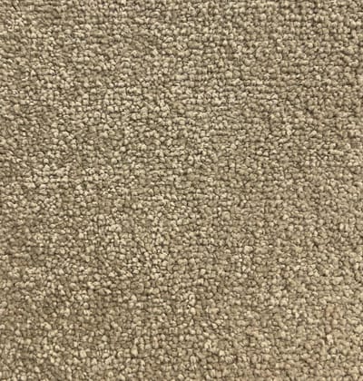 Camel swatch
