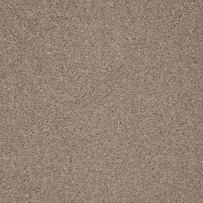 Biscuit swatch