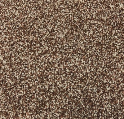 Stallion swatch