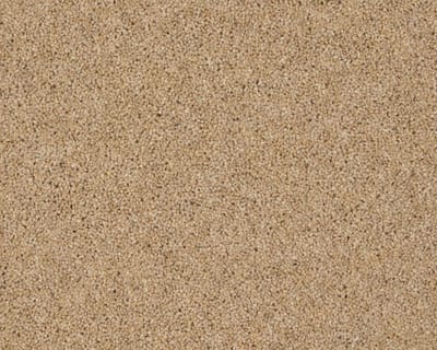 Goldcrest swatch