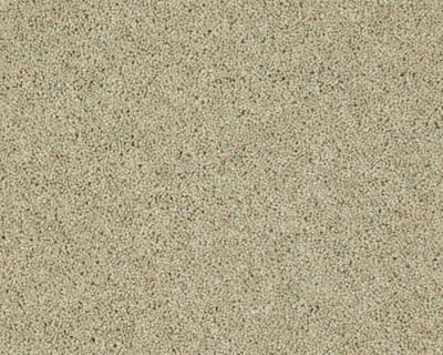 Meadow Light swatch