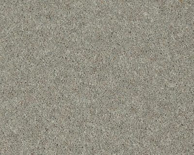 Mountain Larch swatch