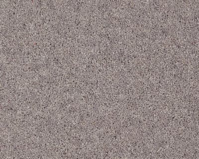 Peregrine swatch