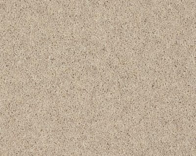Pine Nut swatch