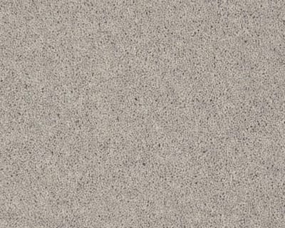 Silver Fox swatch