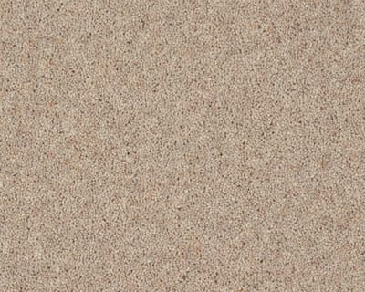 Travertine swatch