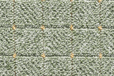 APACHE 6447 swatch