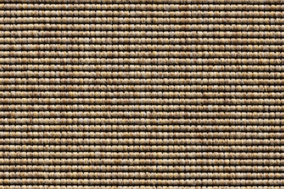 CEYLON 781 swatch