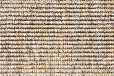 LASIS 3883 swatch