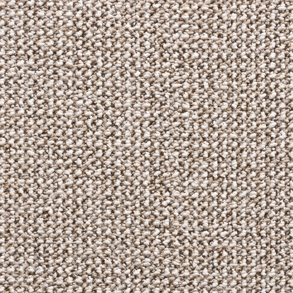 TITAN 1413 swatch