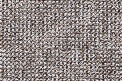 TITAN 1423 swatch