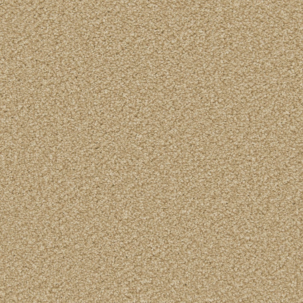 Caramel swatch