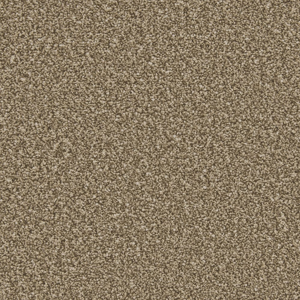 Cork Oak swatch