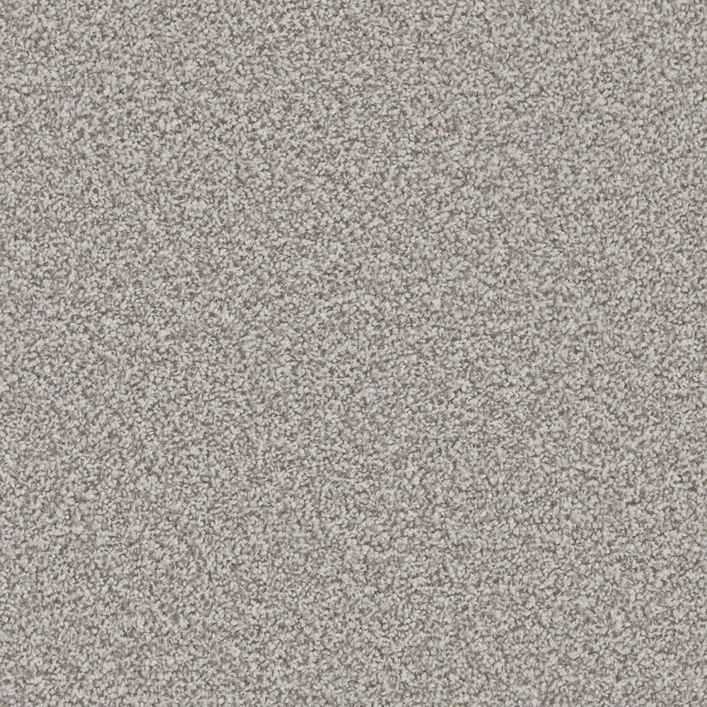 Meteorite swatch