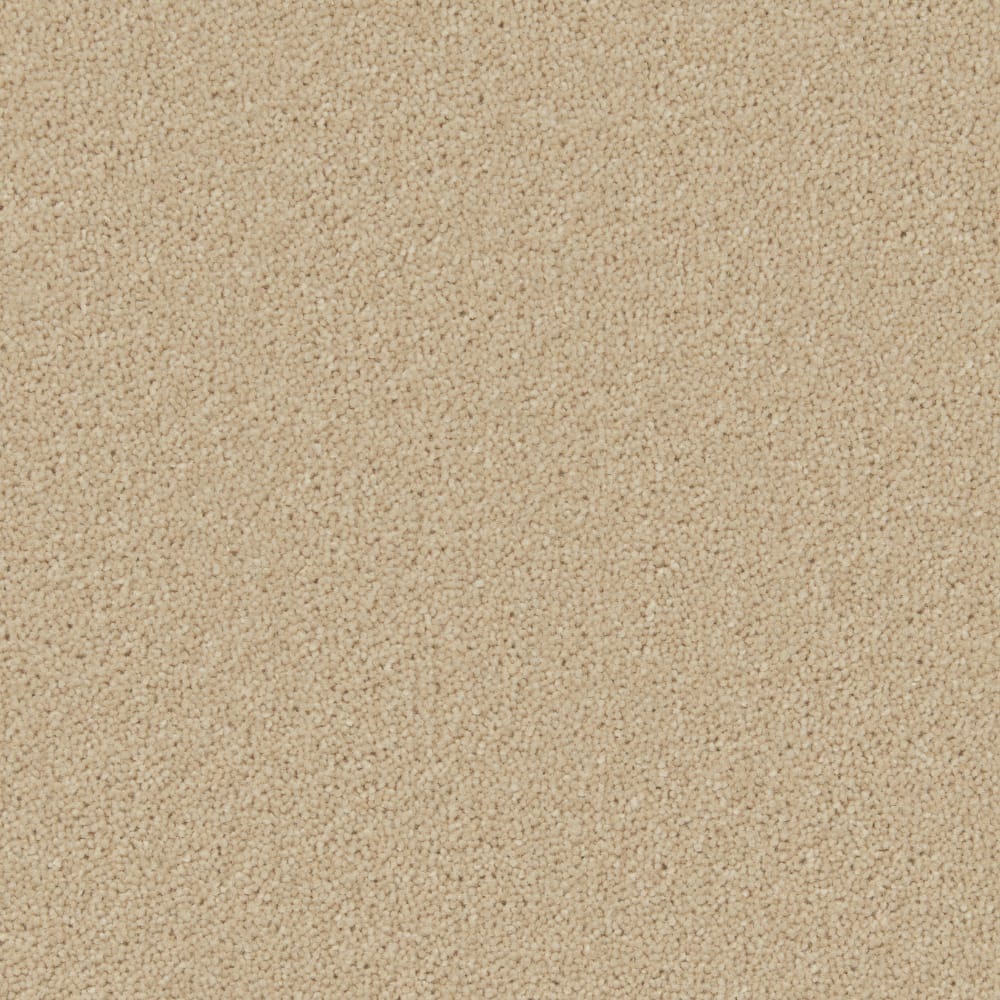 Hampstead Fossil swatch