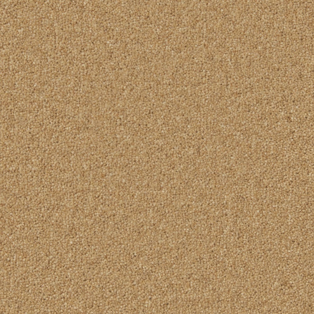 Hampstead Maize swatch