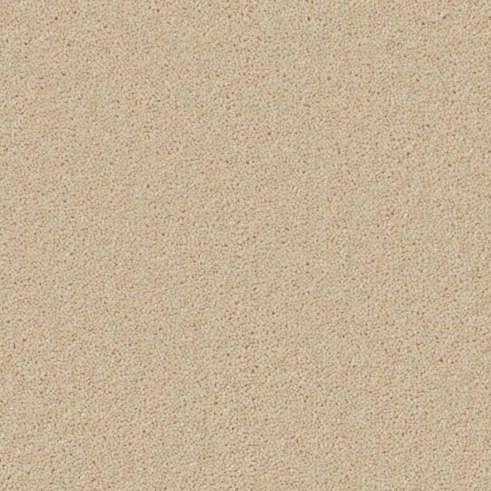 Hampstead Rice swatch
